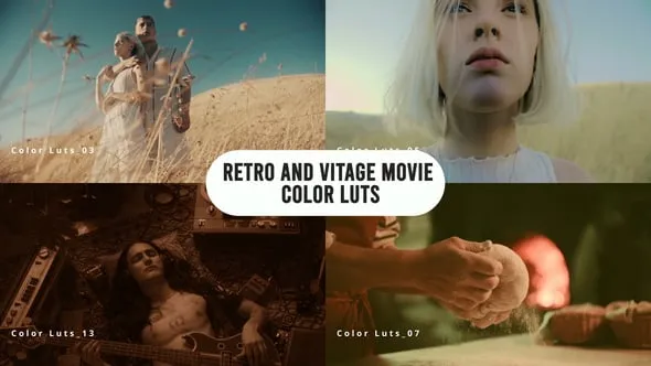 30个专业复古和经典老式电影色彩Luts调色预设下载 Retro and Vintage Movie Color LUTs