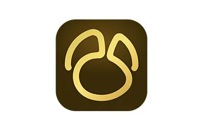 Navicat Premium v17.2.8 中文破解版  Mac强大的数据库管理工具