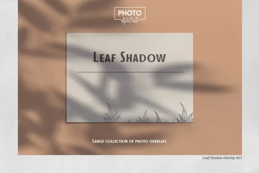 69张植物树叶阳光阴影效果照片合成叠加素材 Leaf Shadow Overlays