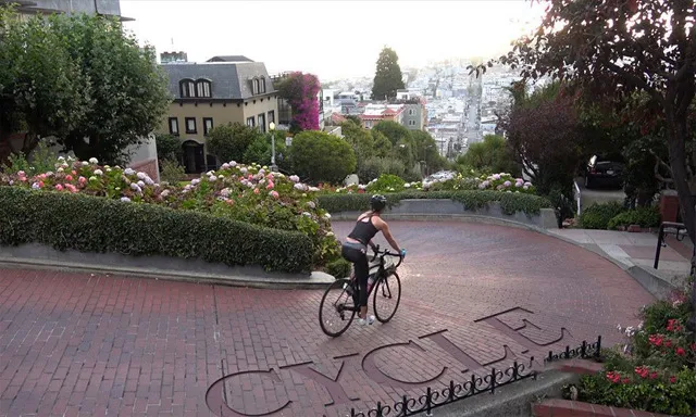 After Effects 2020基础入门技术训练视频教程