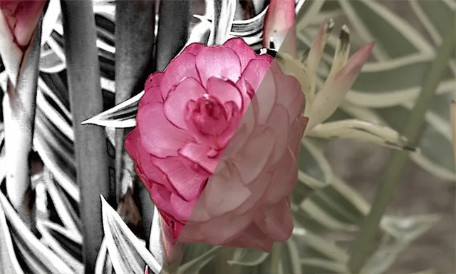 AE 2020色彩分级艺术工作流程核心技术视频教程