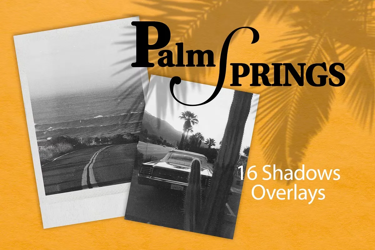 16张高清海滩棕榈树阴影倒影叠加合成设计素材 Palm Spring|Shadow Overlays