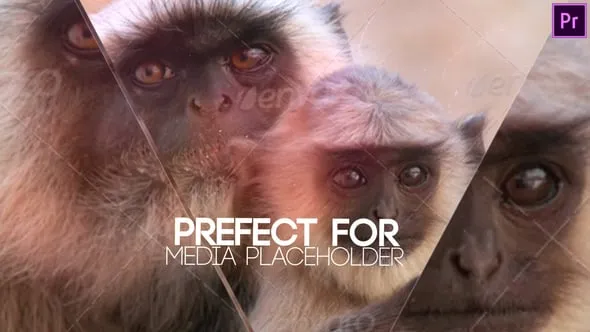 照片动画线条分割简单玻璃镜面效果视频相册PR模板下载 Media Reveal Slideshow Premiere Pro