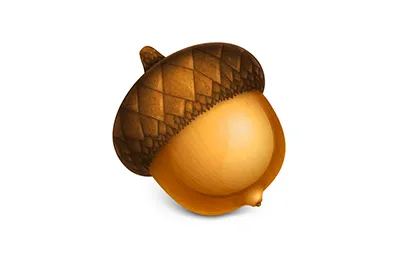 Acorn v8.2.2 激活版 Mac轻量级图片处理软件