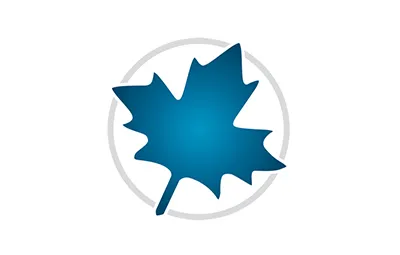 Maplesoft Maple v2025.1 中文破解版 Win专业的数学计算软件