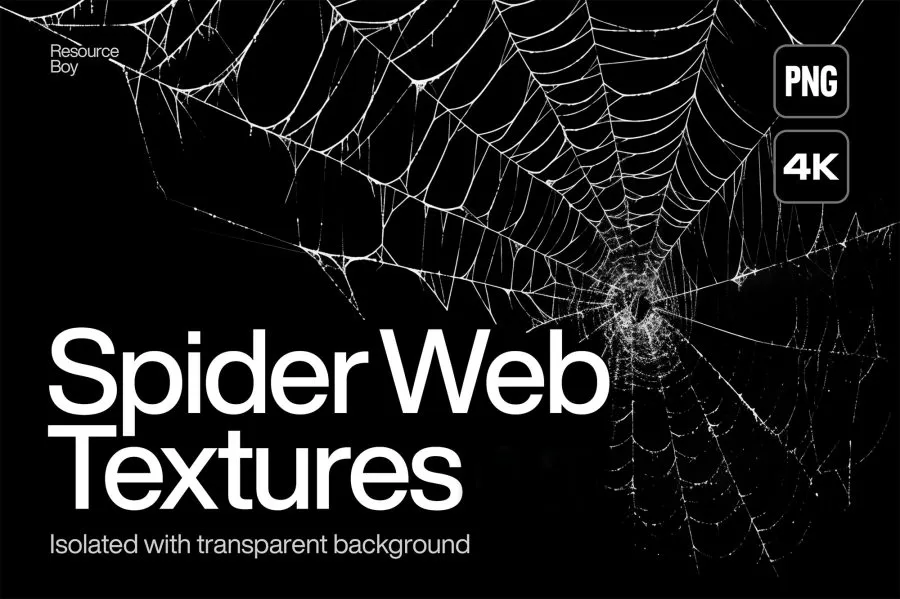 200款蛛丝蜘蛛网残破荒芜场景设计图片素材 200 Spider Web Textures