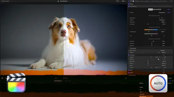 视频画面自动色彩色温白平衡调色工具FCPX/AE/PR插件 Auto Balancer