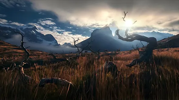 嗨森课堂2020风光摄影及后期第二期教程