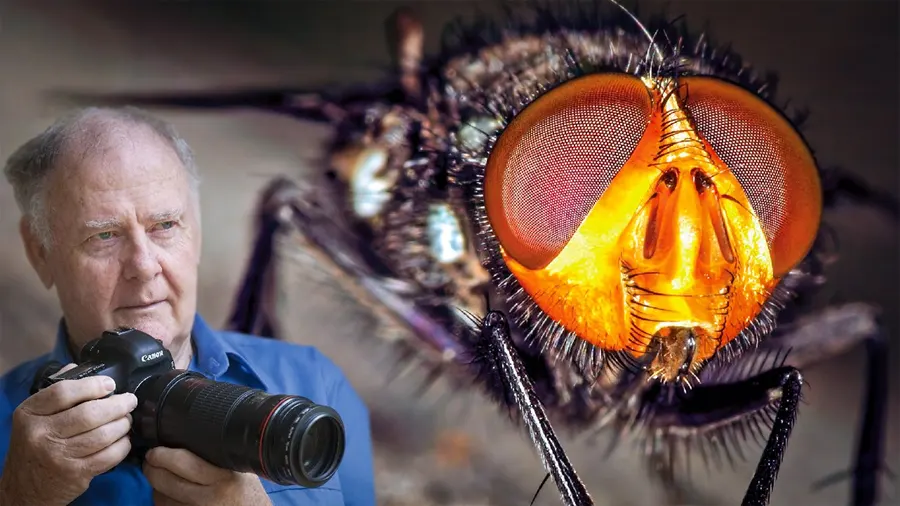 Nic Van Oudtshoorn - 让微距摄影和焦点堆叠变得很简单 中英字幕 Macro Photography and Focus Stacking Made Easy