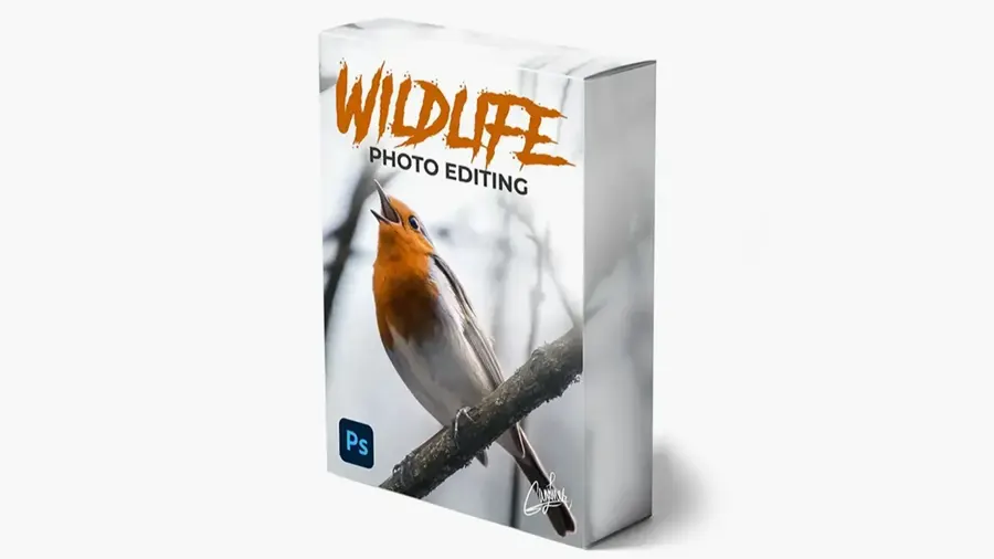 摄影师Zenja Gammer野生动物摄影后期修饰技术教程-中英字幕 Zenja Gammer – zenzcourses – Wildlife Photo Editing Course