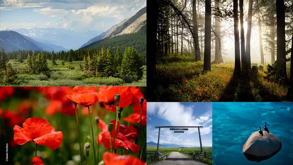 Karen Hutton – 最大化利用风景摄影的最佳地理位置-中英字幕 Landscape Photography: Maximizing a Location