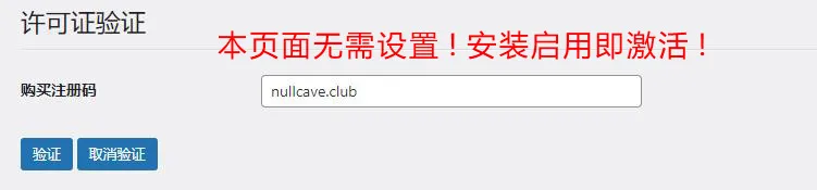 最新Wordpress多站点文章发布自动同步插件下载 v25.3.30 实测RiPro-V5、模版兔Modown、子比主题都支持